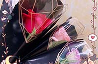 春風十里  · “原”來有你