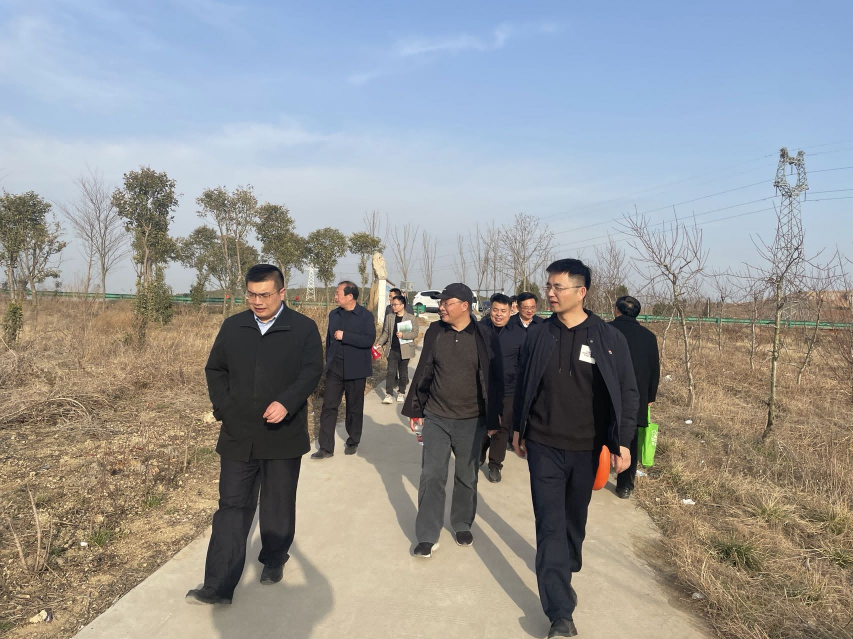 國家級試點項目協(xié)同調(diào)研——完善落實政府政策獲肯定